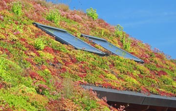 Chilcompton living roof systems
