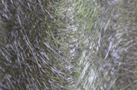 Chilcompton fibreglass roof work